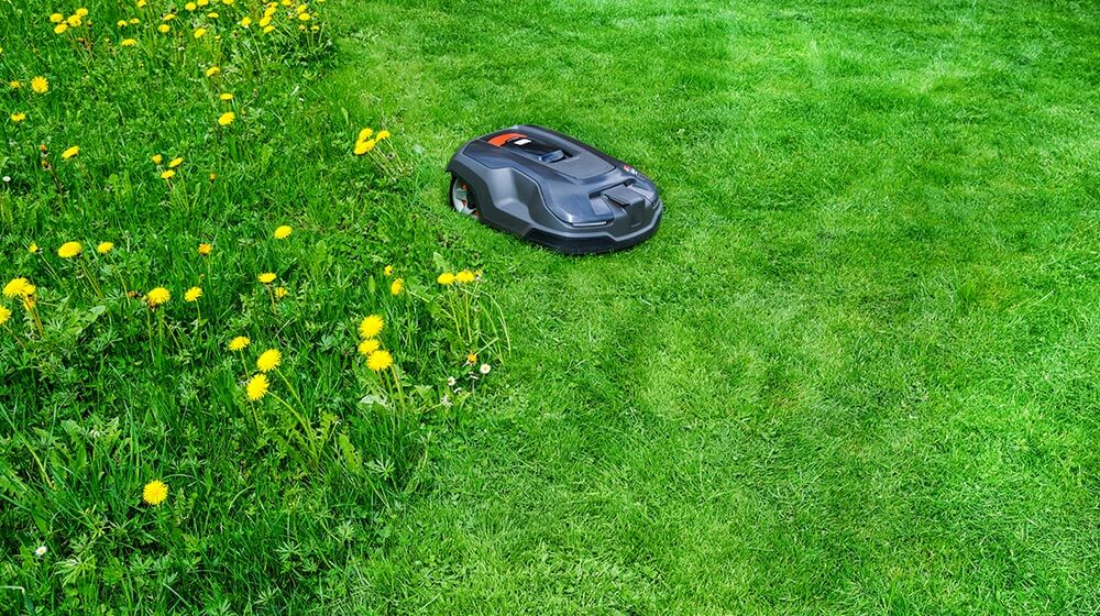 Elrad Group - Motor drives / Garden